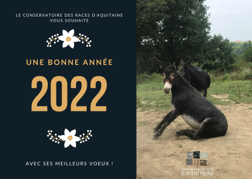 Bonne année 2022 !