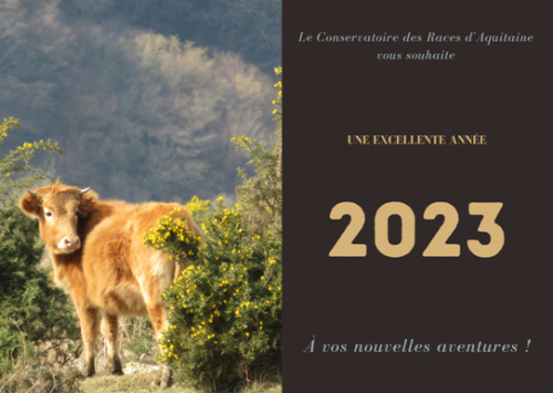 Bonne année 2023 !