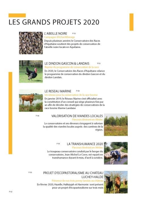 Bulletin d'informations - Mai 2020