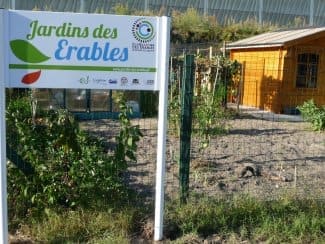 Des Poules Gasconnes au Jardin des Erables à Ambarès (Gironde)