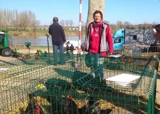 Fermes en fête à Langon (Gironde)