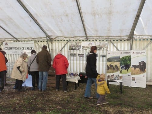 Fête de l'Arbre 2015