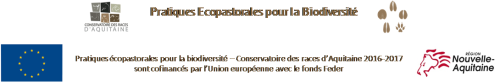 Flash information n°1-Transhumance