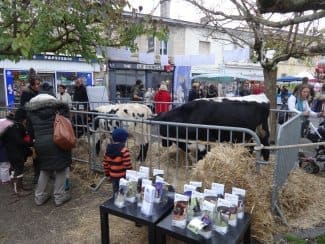 Foire de la Saint Luce - La Brède