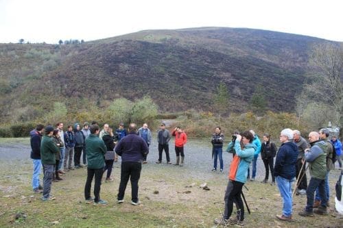 Journées de présentation de la Betizu en Iparralde
