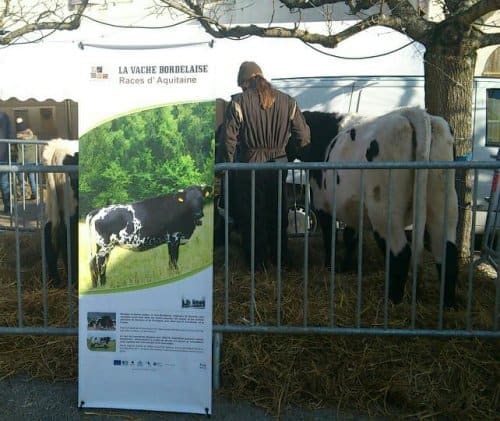 Foire de la Ste Luce, La Brède (Gironde)