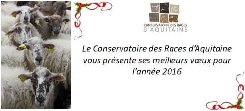 Meilleurs vœux pour 2016 !