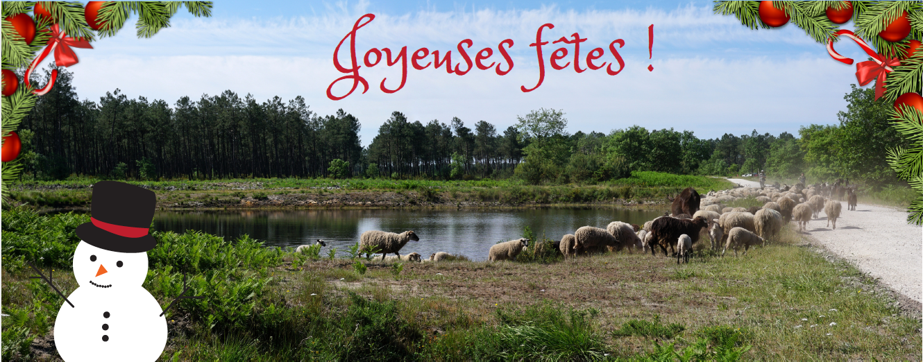 Meilleurs voeux pour 2018 !