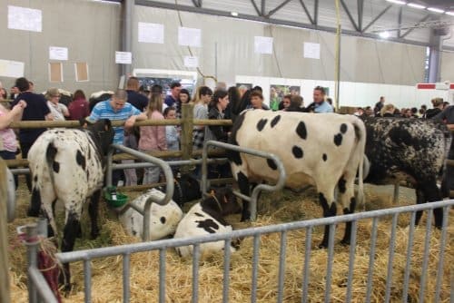 Salon de l’Agriculture de Bordeaux 2015