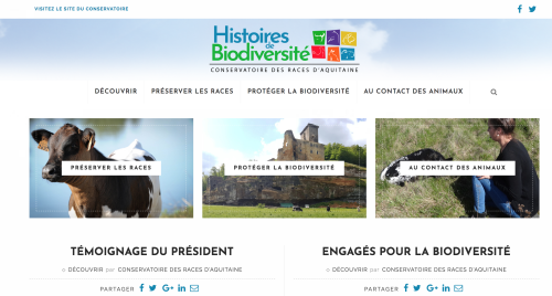 Un blog à votre disposition !