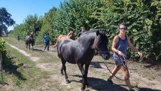 Un partenariat grandissant avec le château Luchey-Halde