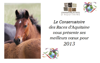 Voeux 2013
