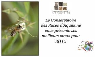 Vœux 2015