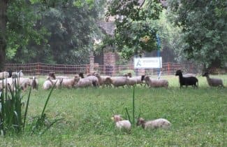 Zoom sur nos activités à Andernos les Bains
