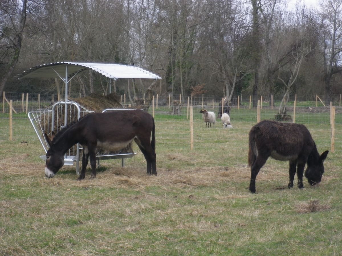 Ferme de la Barbanne