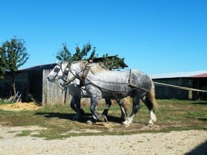 Ferme des Jarouilles