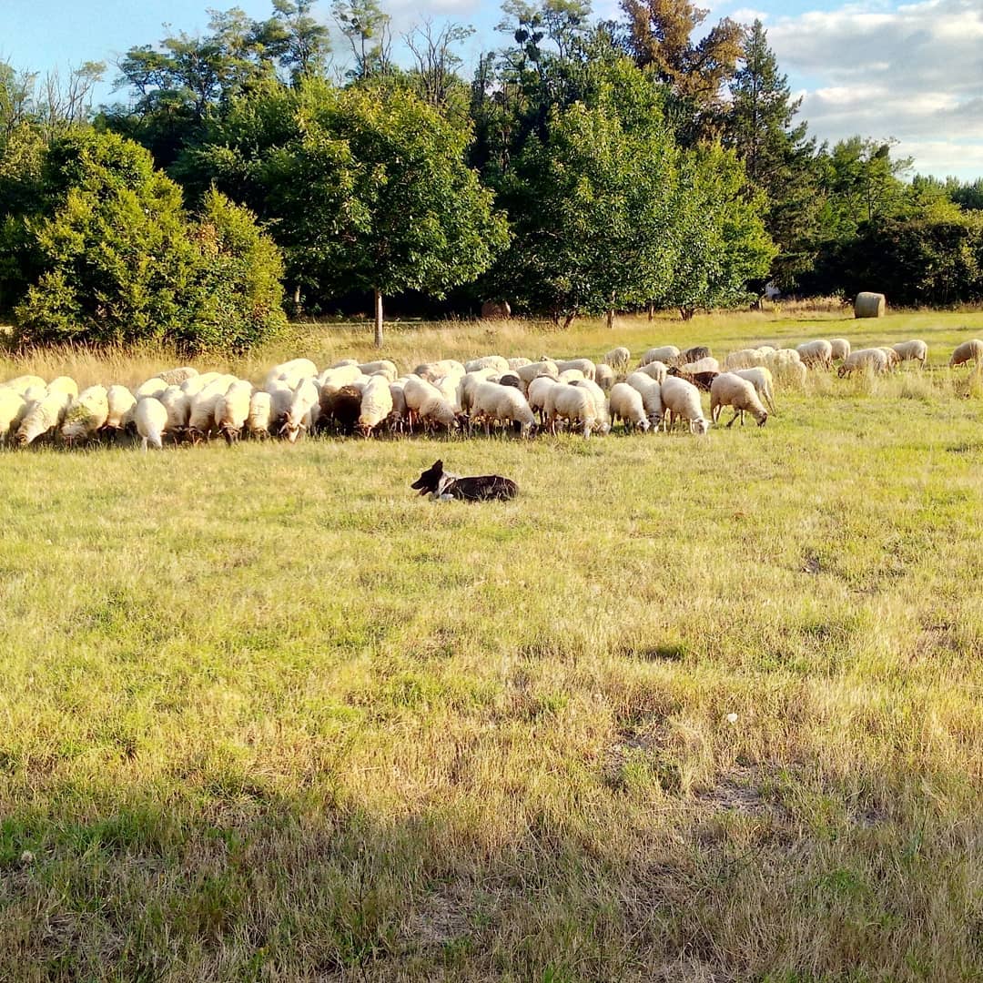 La Ferme d’Iska et Marina